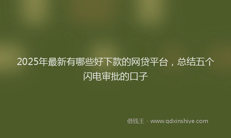 2025年最新有哪些好下款的网贷平台，总结五个闪电审批的口子