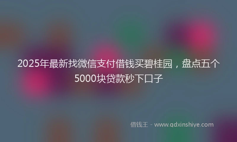 2025年最新找微信支付借钱买碧桂园，盘点五个5000块贷款秒下口子