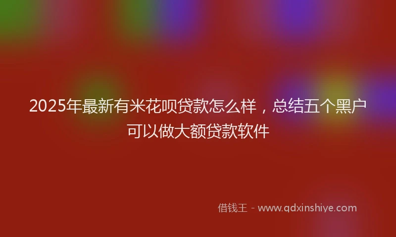 2025年最新有米花呗贷款怎么样，总结五个黑户可以做大额贷款软件
