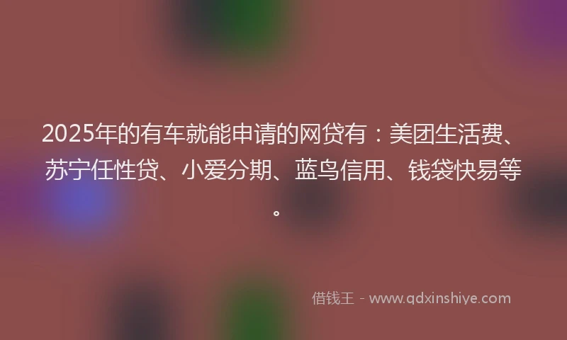 2025年的有车就能申请的网贷有：美团生活费、苏宁任性贷、小爱分期、蓝鸟信用、钱袋快易等。
