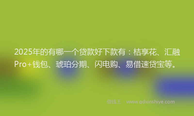 2025年的有哪一个贷款好下款有：桔享花、汇融Pro+钱包、琥珀分期、闪电购、易借速贷宝等。