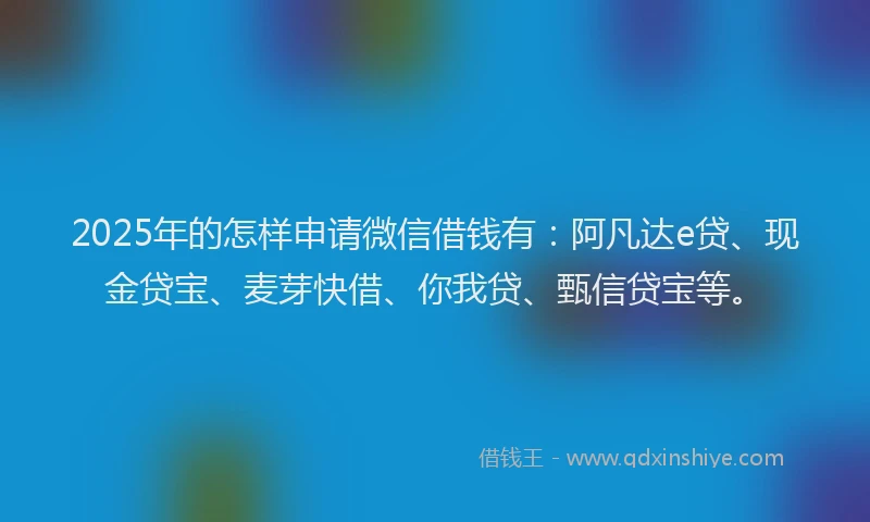 2025年的怎样申请微信借钱有：阿凡达e贷、现金贷宝、麦芽快借、你我贷、甄信贷宝等。