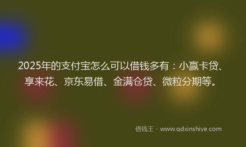 2025年的支付宝怎么可以借钱多有：小赢卡贷、享来花、京东易借、金满仓贷、微粒分期等。