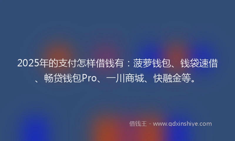 2025年的支付怎样借钱有：菠萝钱包、钱袋速借、畅贷钱包Pro、一川商城、快融金等。