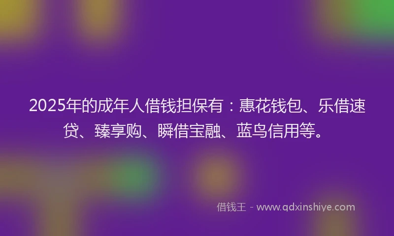 2025年的成年人借钱担保有：惠花钱包、乐借速贷、臻享购、瞬借宝融、蓝鸟信用等。