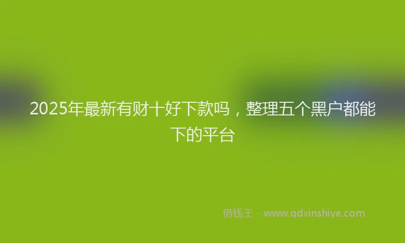 2025年最新有财十好下款吗，整理五个黑户都能下的平台
