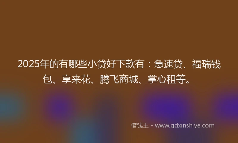 2025年的有哪些小贷好下款有：急速贷、福瑞钱包、享来花、腾飞商城、掌心租等。