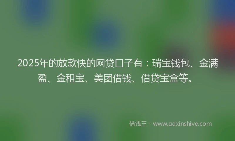 2025年的放款快的网贷口子有：瑞宝钱包、金满盈、金租宝、美团借钱、借贷宝盒等。