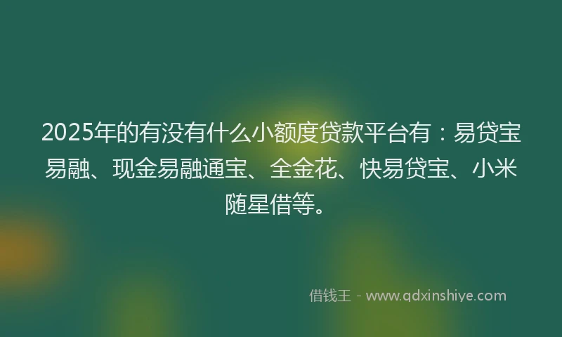 2025年的有没有什么小额度贷款平台有：易贷宝易融、现金易融通宝、全金花、快易贷宝、小米随星借等。
