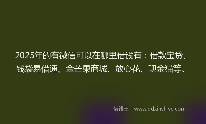 2025年的有微信可以在哪里借钱有：借款宝贷、钱袋易借通、金芒果商城、放心花、现金猫等。