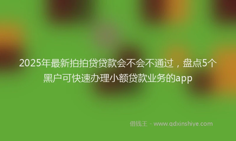 2025年最新拍拍贷贷款会不会不通过，盘点5个黑户可快速办理小额贷款业务的app