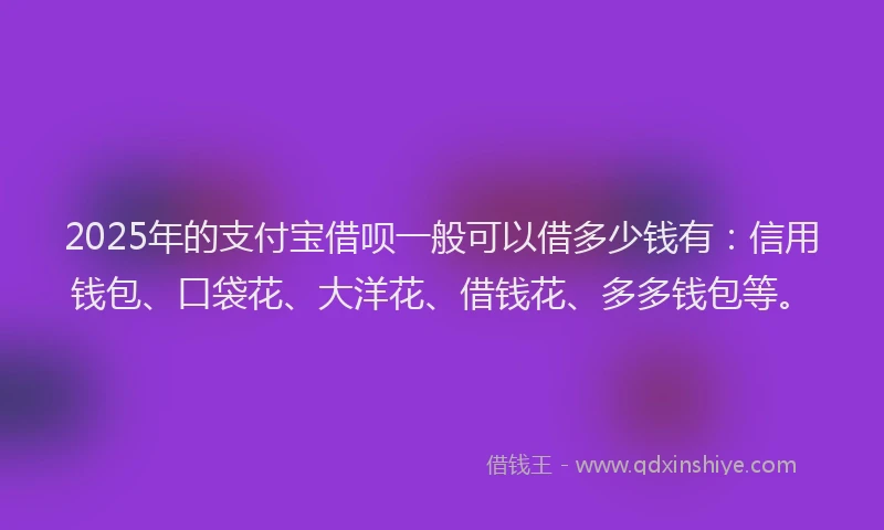 2025年的支付宝借呗一般可以借多少钱有：信用钱包、口袋花、大洋花、借钱花、多多钱包等。