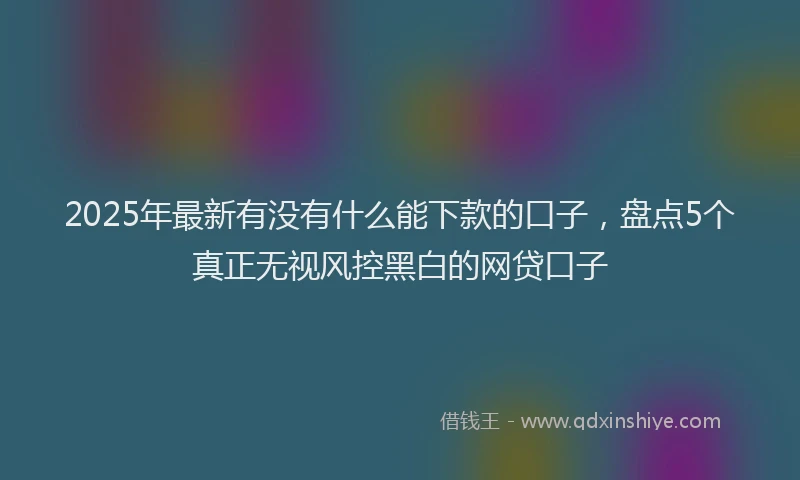 2025年最新有没有什么能下款的口子，盘点5个真正无视风控黑白的网贷口子