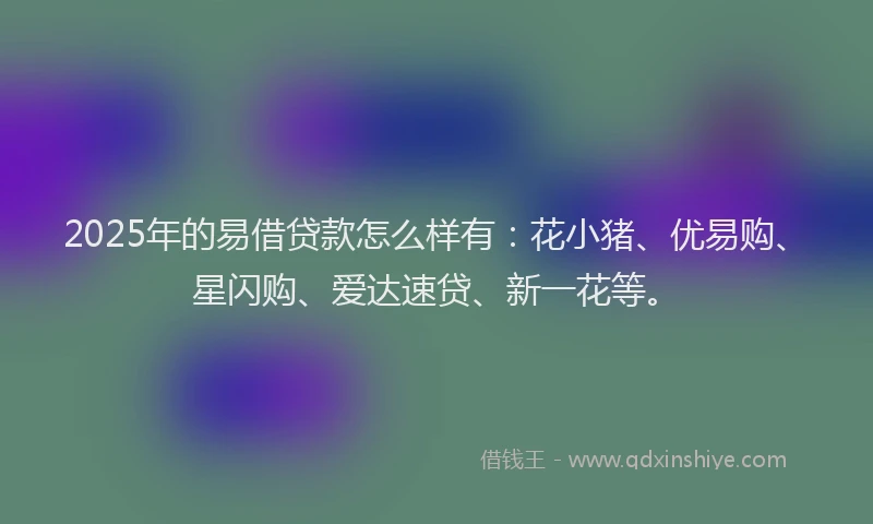 2025年的易借贷款怎么样有：花小猪、优易购、星闪购、爱达速贷、新一花等。