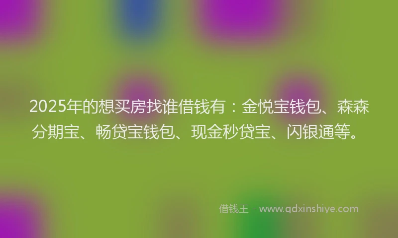 2025年的想买房找谁借钱有：金悦宝钱包、森森分期宝、畅贷宝钱包、现金秒贷宝、闪银通等。
