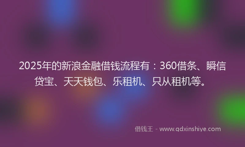 2025年的新浪金融借钱流程有：360借条、瞬信贷宝、天天钱包、乐租机、只从租机等。