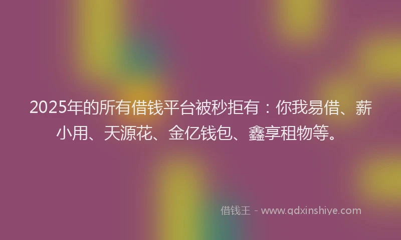 2025年的所有借钱平台被秒拒有：你我易借、薪小用、天源花、金亿钱包、鑫享租物等。