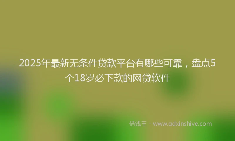 2025年最新无条件贷款平台有哪些可靠，盘点5个18岁必下款的网贷软件