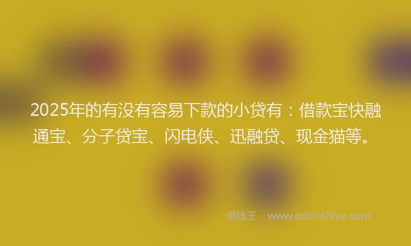 2025年的有没有容易下款的小贷有：借款宝快融通宝、分子贷宝、闪电侠、迅融贷、现金猫等。