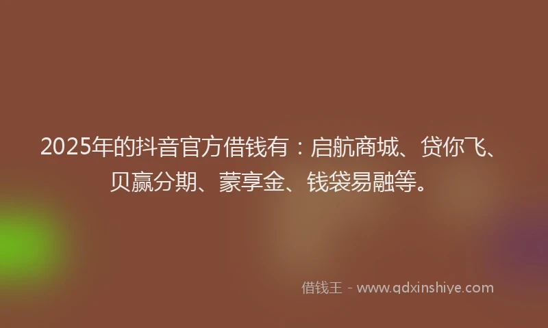 2025年的抖音官方借钱有：启航商城、贷你飞、贝赢分期、蒙享金、钱袋易融等。
