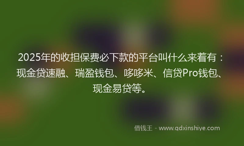 2025年的收担保费必下款的平台叫什么来着有：现金贷速融、瑞盈钱包、哆哆米、信贷Pro钱包、现金易贷等。