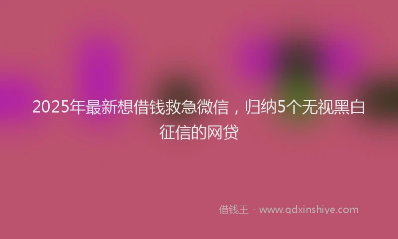 2025年最新想借钱救急微信，归纳5个无视黑白征信的网贷