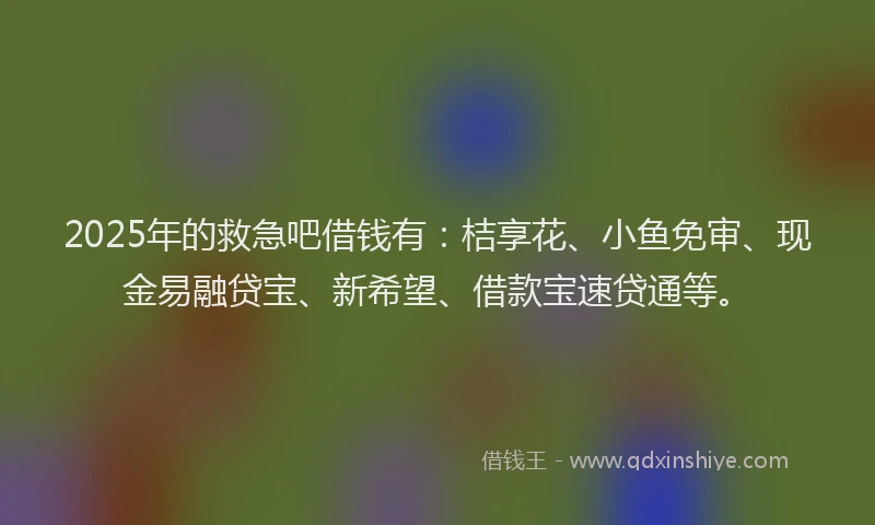 2025年的救急吧借钱有：桔享花、小鱼免审、现金易融贷宝、新希望、借款宝速贷通等。