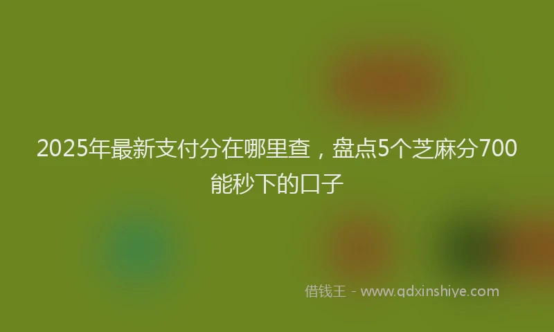 2025年最新支付分在哪里查，盘点5个芝麻分700能秒下的口子
