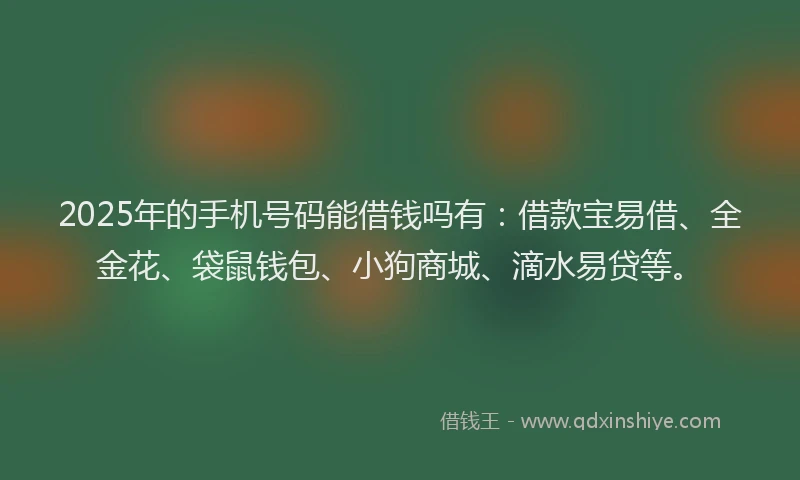 2025年的手机号码能借钱吗有：借款宝易借、全金花、袋鼠钱包、小狗商城、滴水易贷等。