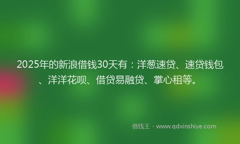 2025年的新浪借钱30天有：洋葱速贷、速贷钱包、洋洋花呗、借贷易融贷、掌心租等。