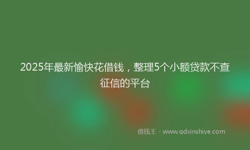 2025年最新愉快花借钱，整理5个小额贷款不查征信的平台