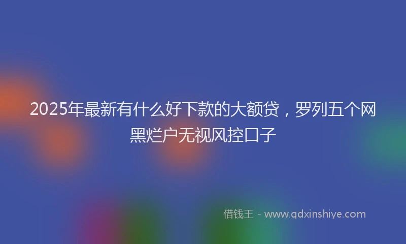 2025年最新有什么好下款的大额贷，罗列五个网黑烂户无视风控口子