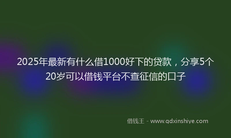 2025年最新有什么借1000好下的贷款，分享5个20岁可以借钱平台不查征信的口子