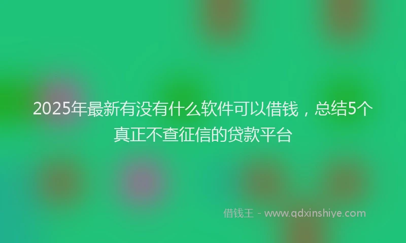 2025年最新有没有什么软件可以借钱，总结5个真正不查征信的贷款平台