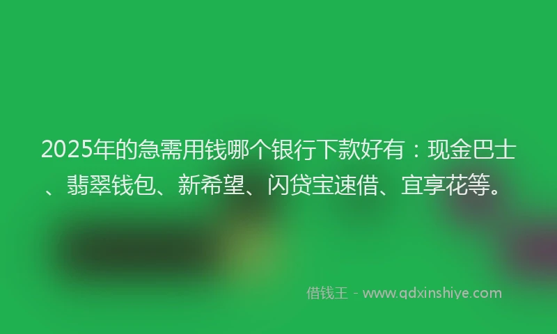 2025年的急需用钱哪个银行下款好有：现金巴士、翡翠钱包、新希望、闪贷宝速借、宜享花等。
