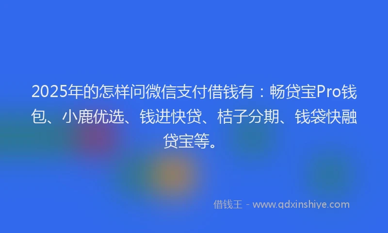 2025年的怎样问微信支付借钱有：畅贷宝Pro钱包、小鹿优选、钱进快贷、桔子分期、钱袋快融贷宝等。