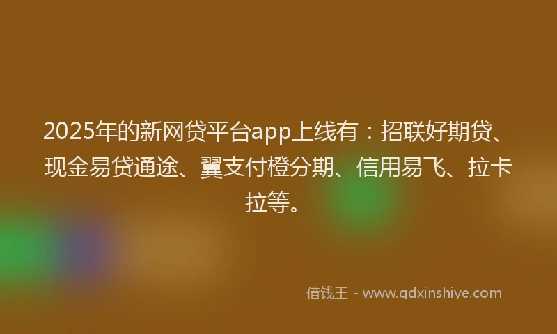 2025年的新网贷平台app上线有：招联好期贷、现金易贷通途、翼支付橙分期、信用易飞、拉卡拉等。