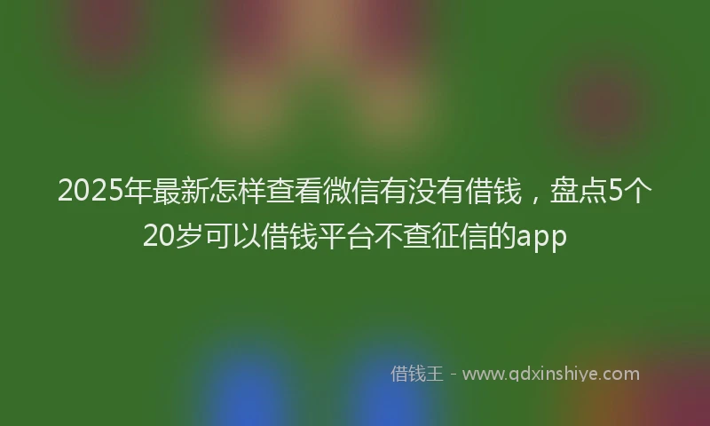 2025年最新怎样查看微信有没有借钱，盘点5个20岁可以借钱平台不查征信的app
