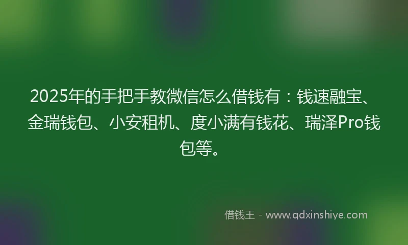 2025年的手把手教微信怎么借钱有：钱速融宝、金瑞钱包、小安租机、度小满有钱花、瑞泽Pro钱包等。