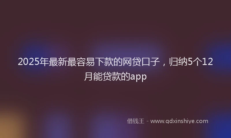 2025年最新最容易下款的网贷口子，归纳5个12月能贷款的app