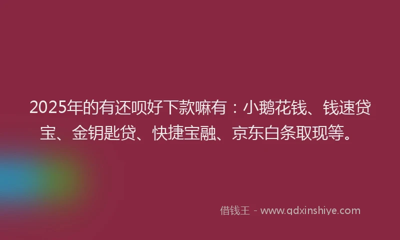 2025年的有还呗好下款嘛有：小鹅花钱、钱速贷宝、金钥匙贷、快捷宝融、京东白条取现等。