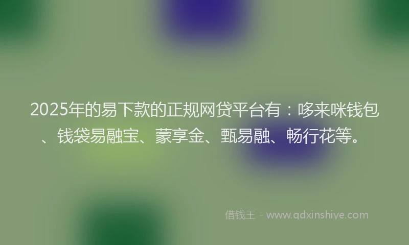 2025年的易下款的正规网贷平台有：哆来咪钱包、钱袋易融宝、蒙享金、甄易融、畅行花等。
