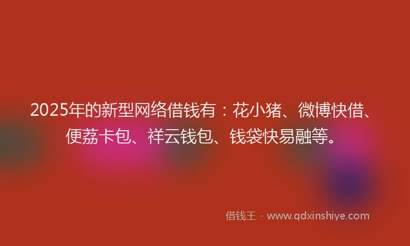 2025年的新型网络借钱有：花小猪、微博快借、便荔卡包、祥云钱包、钱袋快易融等。