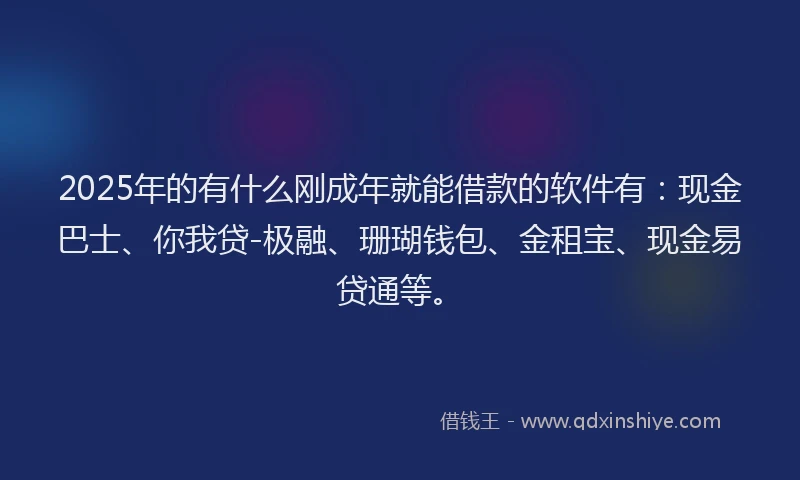 2025年的有什么刚成年就能借款的软件有：现金巴士、你我贷-极融、珊瑚钱包、金租宝、现金易贷通等。
