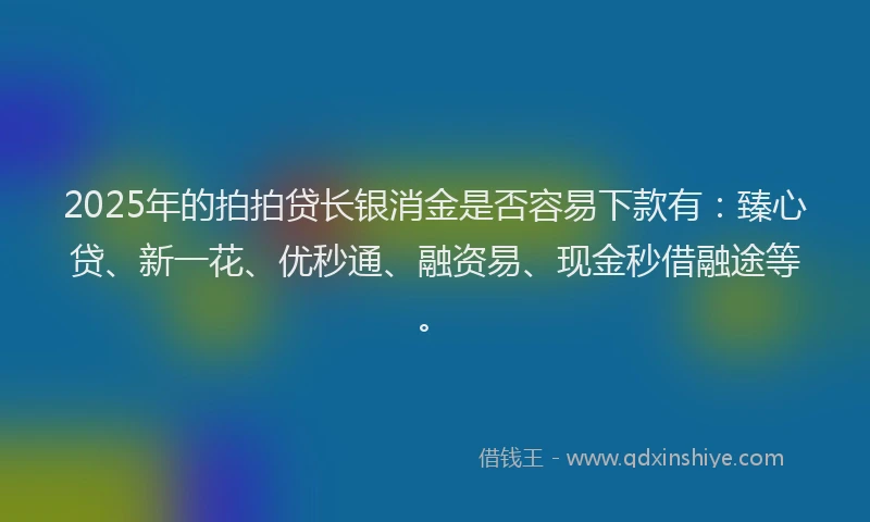 2025年的拍拍贷长银消金是否容易下款有：臻心贷、新一花、优秒通、融资易、现金秒借融途等。