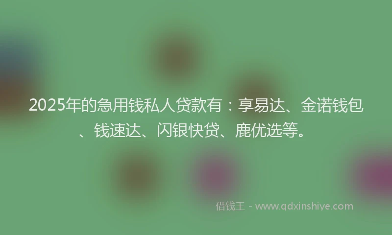 2025年的急用钱私人贷款有：享易达、金诺钱包、钱速达、闪银快贷、鹿优选等。