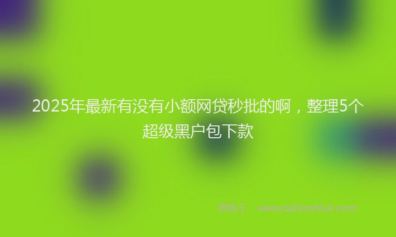 2025年最新有没有小额网贷秒批的啊，整理5个超级黑户包下款