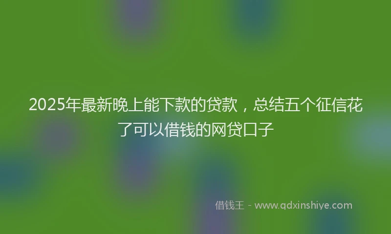 2025年最新晚上能下款的贷款，总结五个征信花了可以借钱的网贷口子