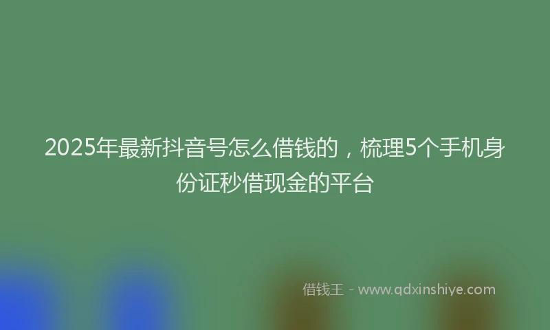 2025年最新抖音号怎么借钱的，梳理5个手机身份证秒借现金的平台