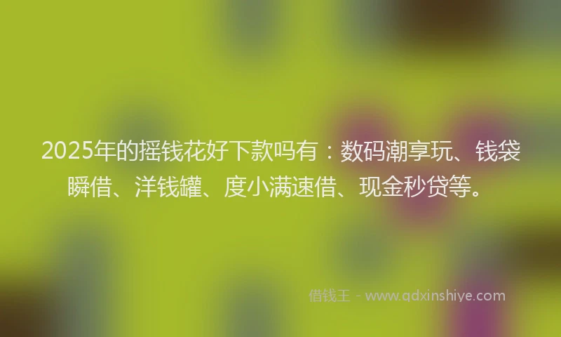 2025年的摇钱花好下款吗有：数码潮享玩、钱袋瞬借、洋钱罐、度小满速借、现金秒贷等。